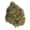 Animal Gas